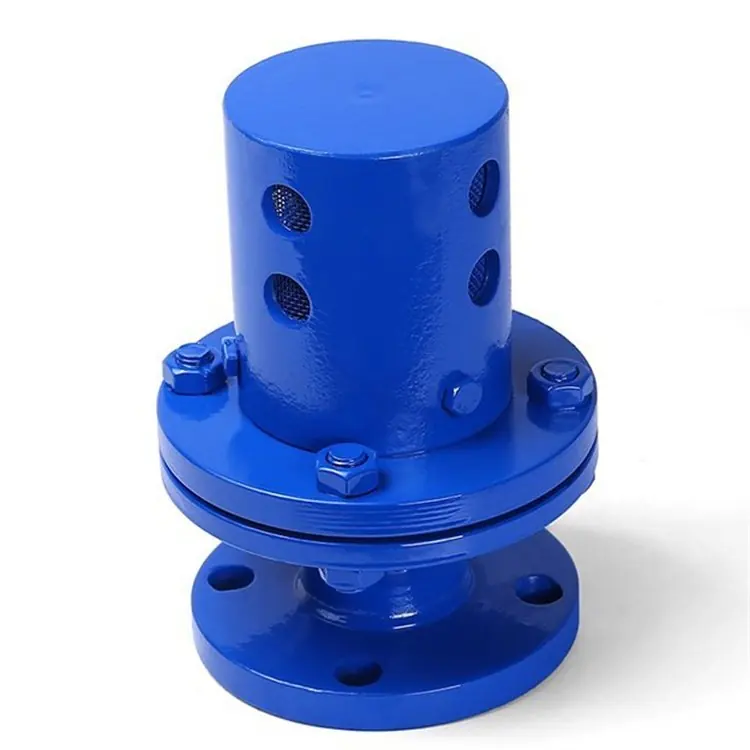 Vacuum Negative Pressure Safety Valve